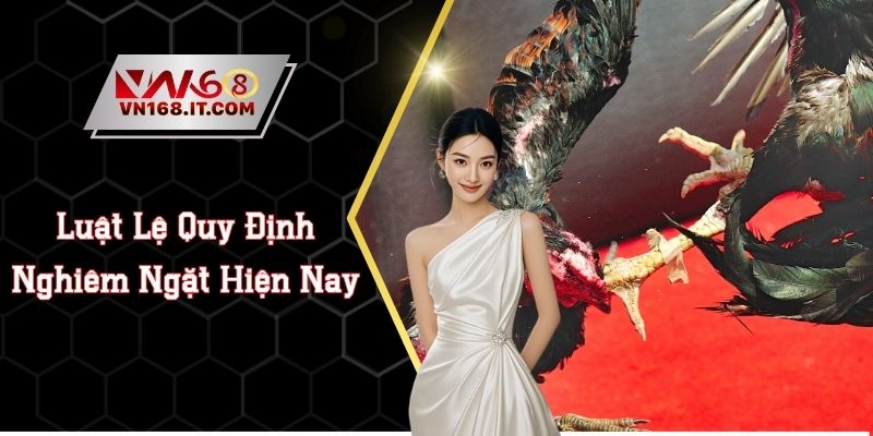 Đá Gà VN168 - Trực Tiếp Trận Chiến Chất Lượng Cao 2026