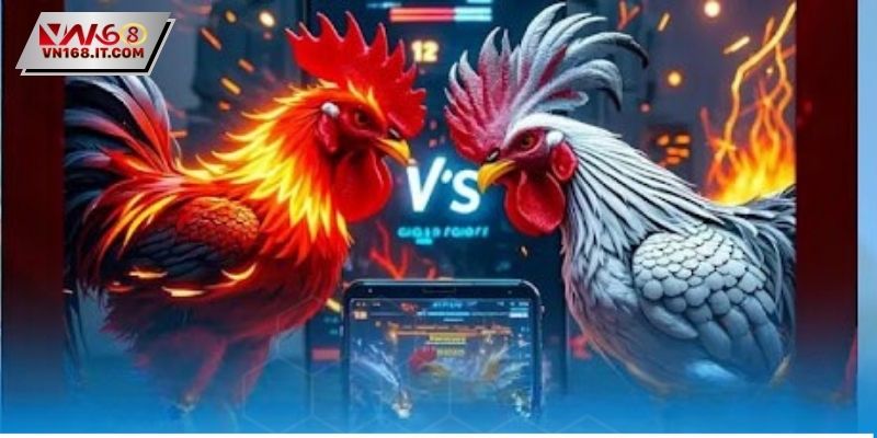 Đá Gà Trực Tiếp C2 - Trận Đấu Đỉnh Cao Dành Cho Sư Kê