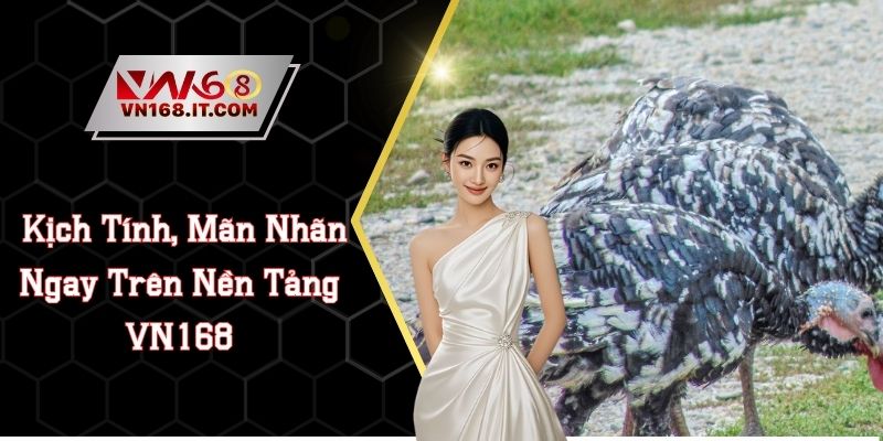 Đá Gà VN168 - Trực Tiếp Trận Chiến Chất Lượng Cao 2026
