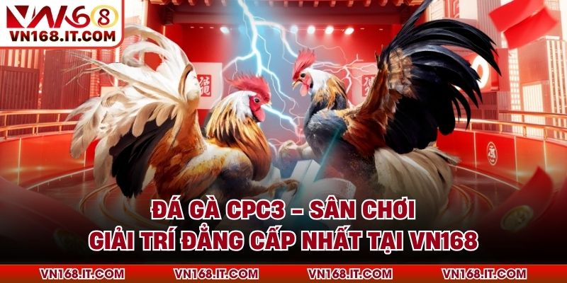 Đá Gà VN168 - Trực Tiếp Trận Chiến Chất Lượng Cao 2026