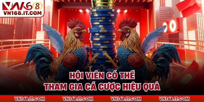 Đá Gà Ws168 - Trải Nghiệm Cực Chất Lượng Tại VN168