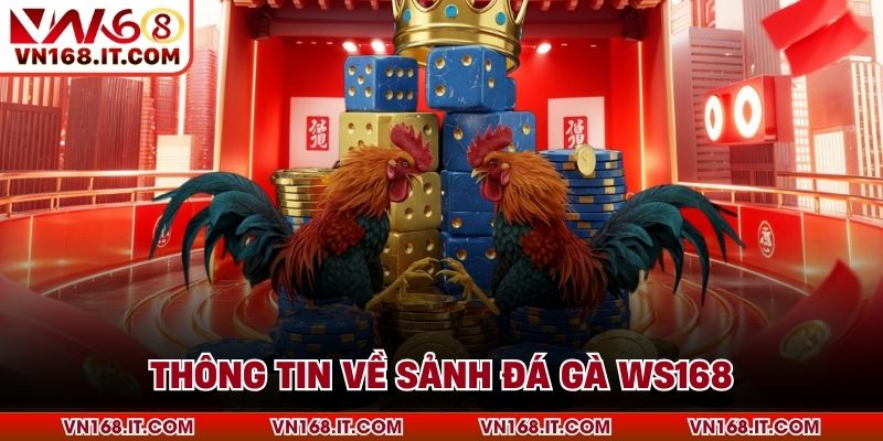 Đá Gà Ws168 - Trải Nghiệm Cực Chất Lượng Tại VN168